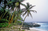 Beach Down the Equator