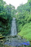 Waterfall, some years after....