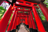 Fushimi Fish Eye