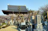Graveyard and Zojoji Temple