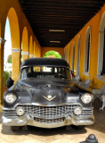 Funeral, Anyone? 1954 Cadillac