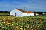 Alentejo House