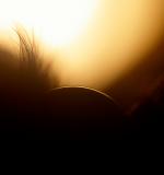<b>MC18 People</br>HM</b><br>The Orb by skyredoubt