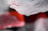 coal by meshal