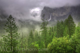 Misty Yosemite Valley