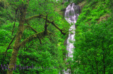 Munson Falls