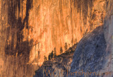 Face of Half Dome