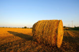 waxing gibbous straw