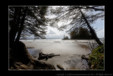2011 - Vancouver Island - Pacific Rim National Park - Scooner Cove Trail (Long Beach)