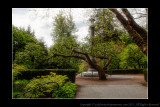 2011 - Vancouver - Stanley Park