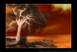 2011 - Infrared - Scarborough Bluffs