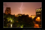 2011 - Toronto Lightning Show on August 24