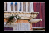 2011 - Venice, Italy
