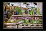 2012 - Canada Blooms - Aqua Terra - Toronto