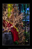 2012 - Canada Blooms, Toronto