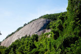 _MG_9935.jpg