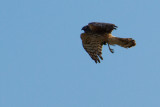 IMG_4284.jpg