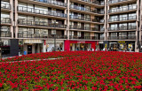 Place Van Bunnen Square