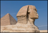 great sphinx profile.jpg