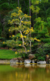 Morikami Japanese Gardens, Delray Beach, Florida