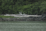 Inside Passage Route