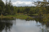 Mendenhall Lake