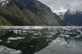 Icebergs from the LeConte Glacier
