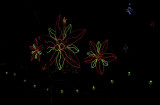 Garvan Gardens Christmas Lights