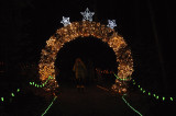 Garvan Gardens Christmas Lights