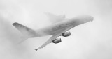 _DSC3014_bw_pbase.jpg