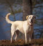Molly January 6