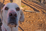 Molley Walley April 11