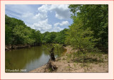 Darbone Bayou