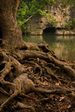 A cave on the Meramec River