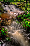 rapids