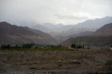 d7013 290.jpg