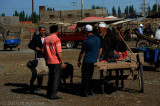 d7013 461.jpg