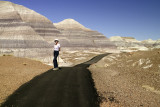 Petrified forest