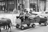 Amish Buggy Ride