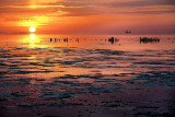 Ebb tide delta of the Waddenzee