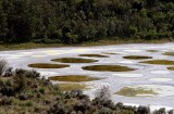 Spotted Lake