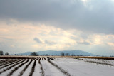 Vue sur la montagne