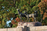 Deer statues on the top of the Boldt Castle Entry Arch