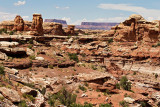 In the The Needles section of Canyonlands