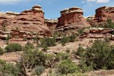 In the The Needles section of Canyonlands