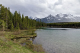 Herbert Lake