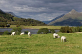 On the banks of Loch Leven, Ballachulish