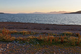 The beach at North Levaig