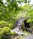 Japanese Tea Garden 2.jpg