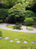 Japanese Tea Garden 6.jpg